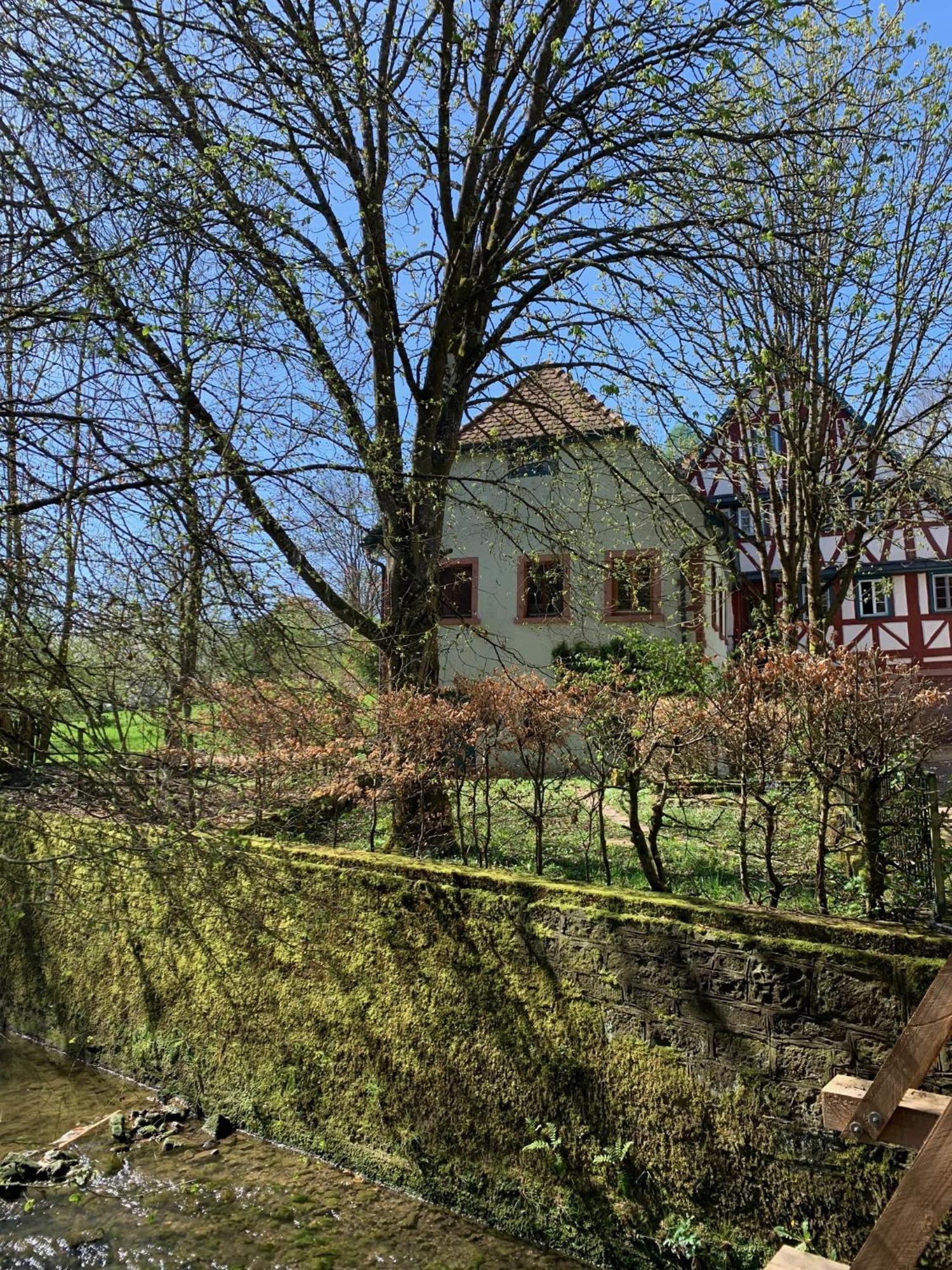 In Historischer Muehle * Buchen (Odenwald, Baden-Wurttemberg)
